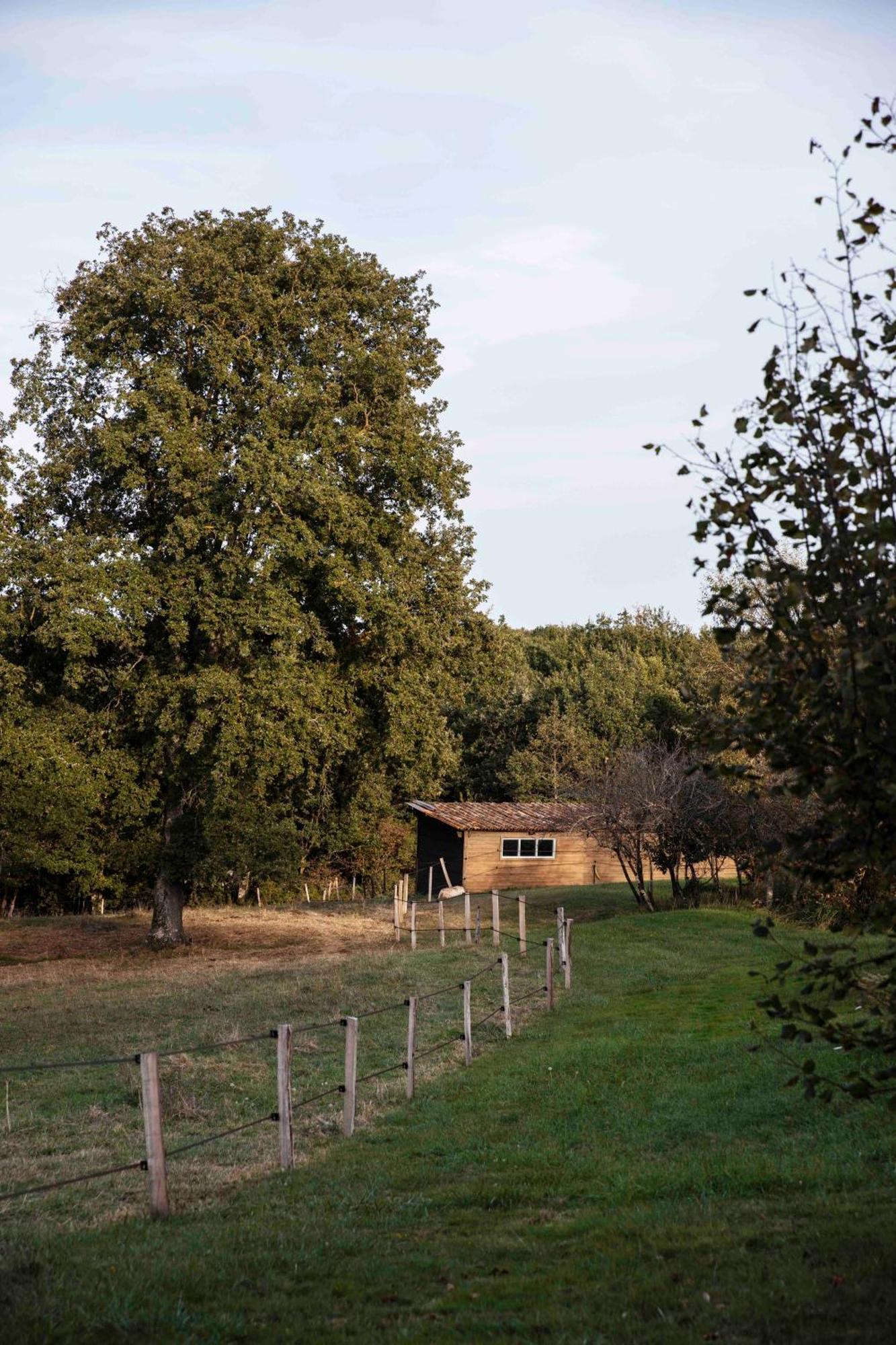 Maison Bellamant Alan Bagian luar foto